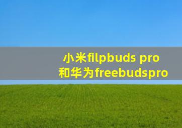 小米filpbuds pro和华为freebudspro